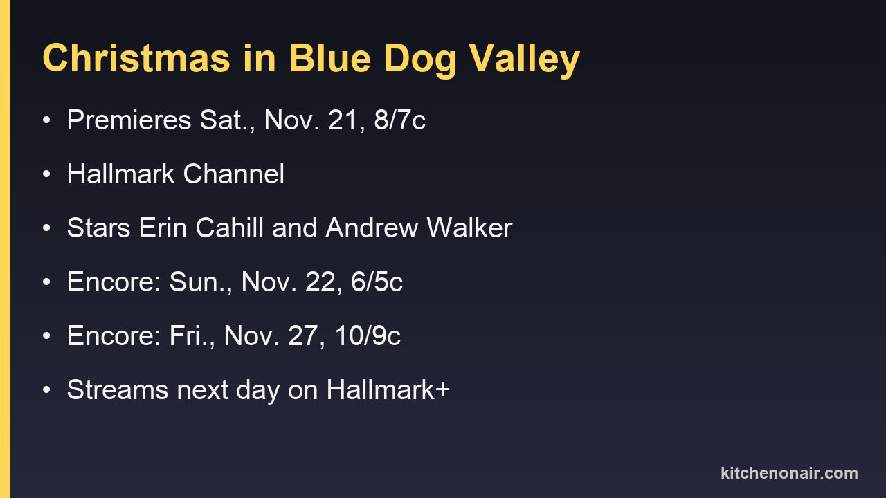 Premiere date, channel and stars for Christmas in Blue Dog Valley